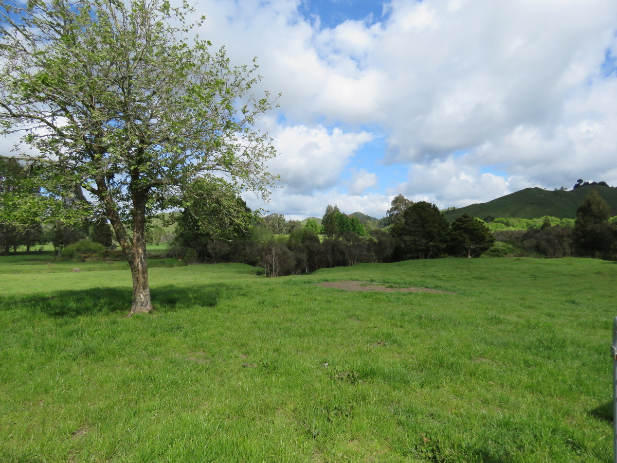 PEACEFULLY LOCATED 3.91 HECTARE BLOCK