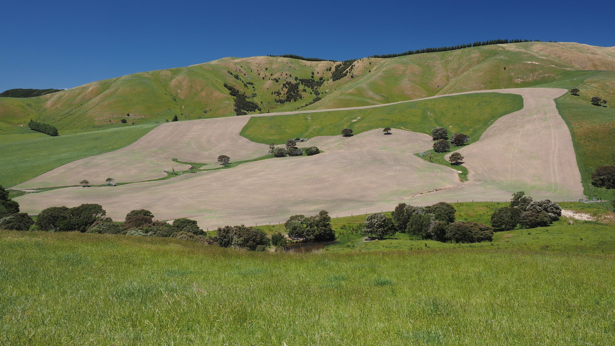 Patakanui- Early finishing country