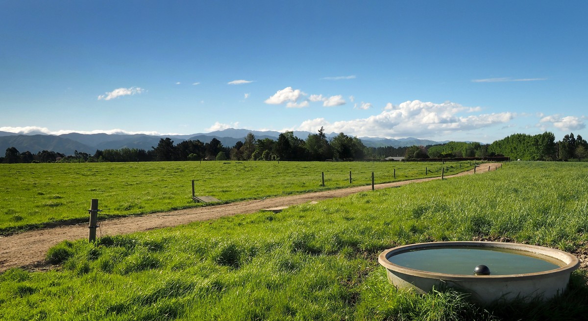 Excellent Dairy Unit - Central Wairarapa Location- 169ha