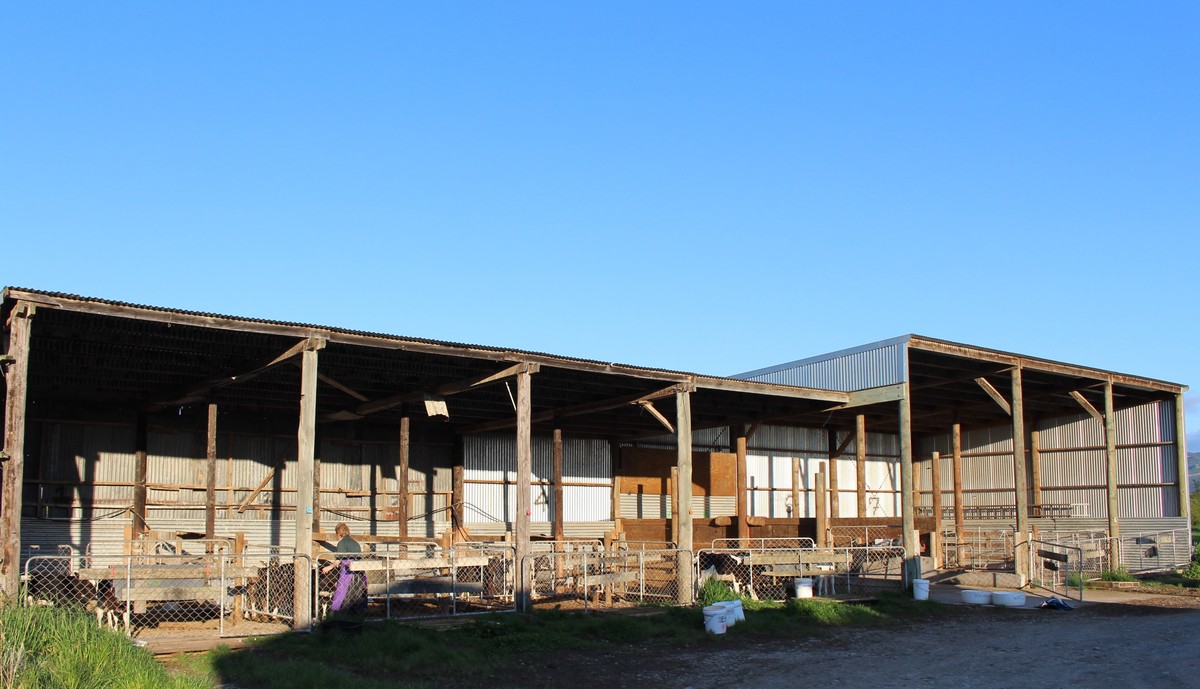 Excellent Dairy Unit - Central Wairarapa Location- 169ha