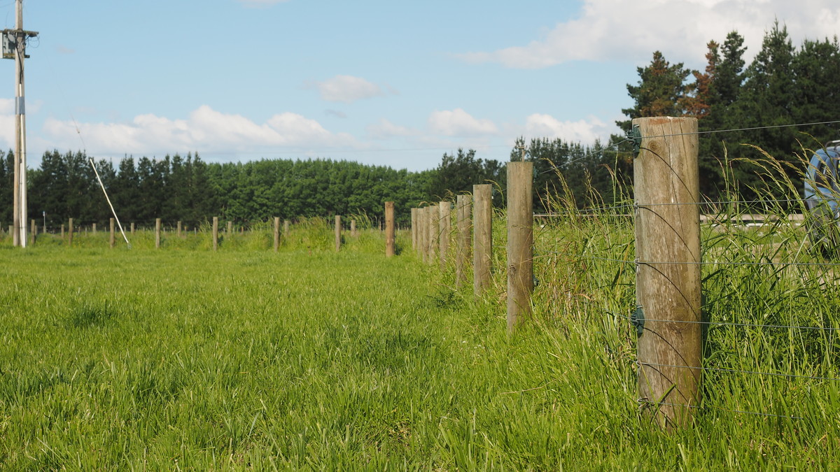 Excellent Dairy Unit - Central Wairarapa Location- 169ha