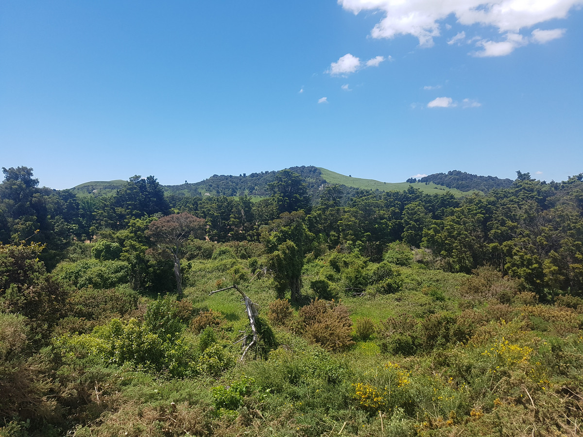 RUAMAHANGA FORKS-BARE LAND WITH VIEWS- ONE TO GO!