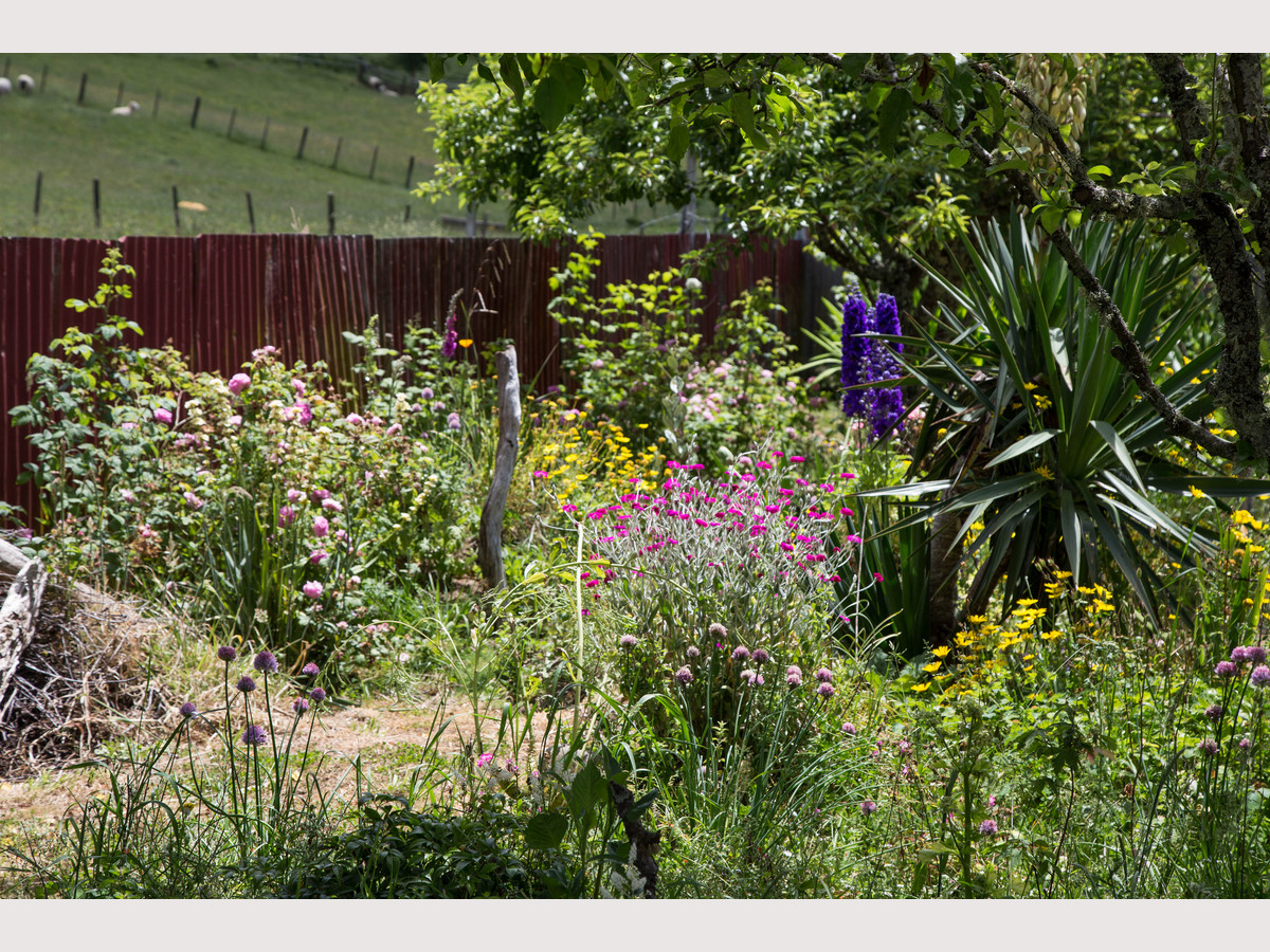 ECLECTIC! BOTH INSIDE AND OUT! - Just 11kms from Ohakune