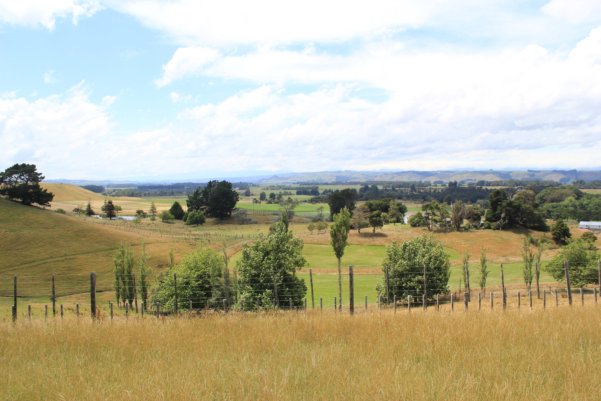 ATTRACTIVE FINISHING COUNTRY – 101 HA