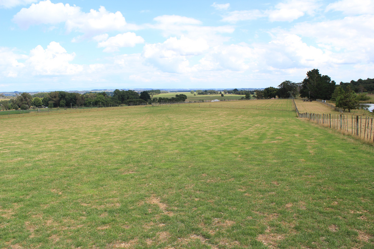 ATTRACTIVE FINISHING COUNTRY – 101 HA