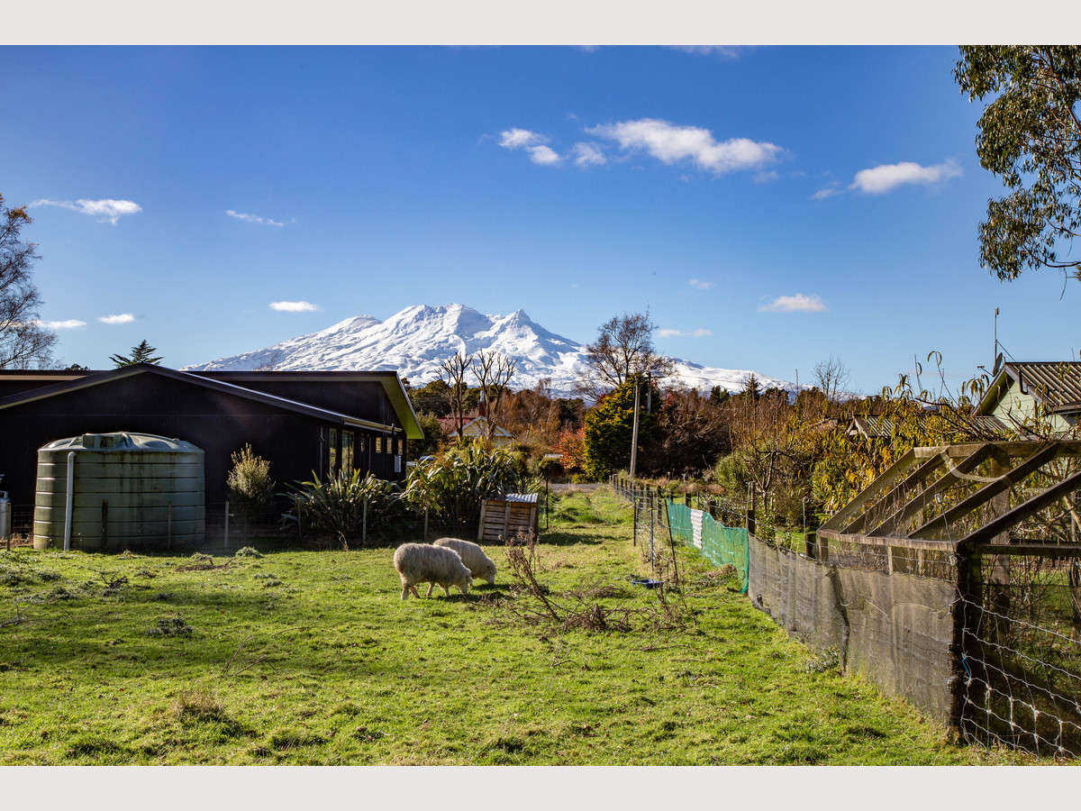 A SLICE OF RANGATAUA PIE - JUST 5 MINUTES DRIVE FROM OHAKUNE