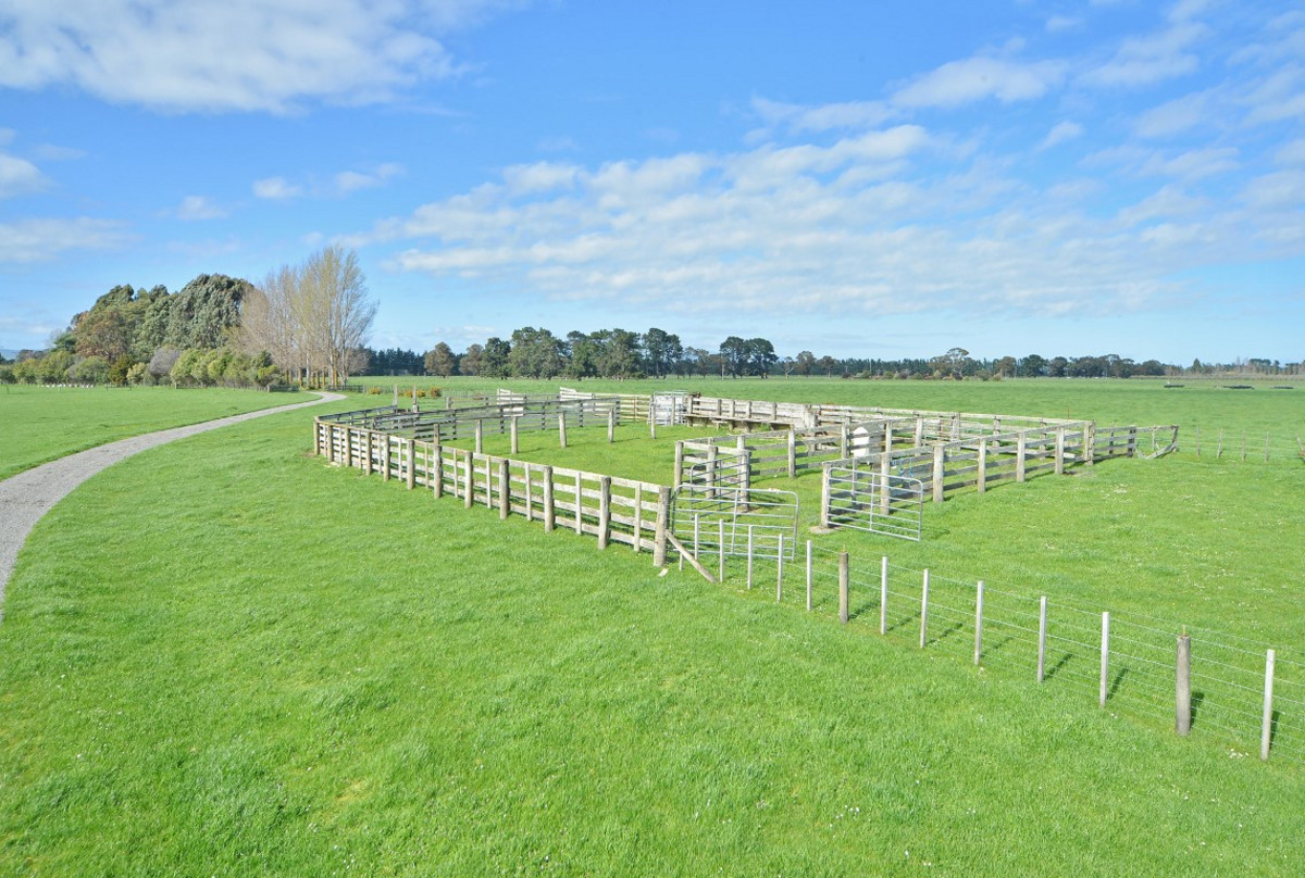 GREYTOWN OPTIONS - WELL SET UP 33HA AND TWO LIFESTYLE BLOCKS