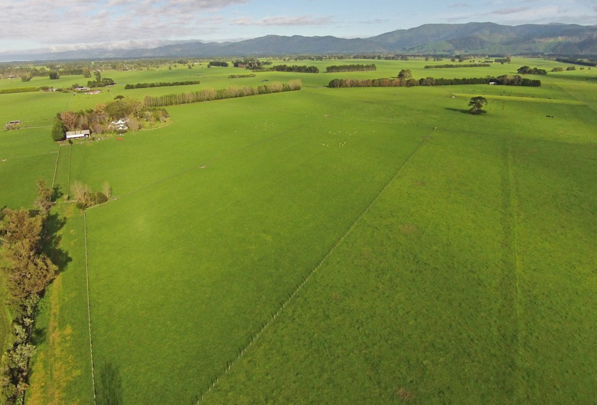 GREYTOWN OPTIONS - WELL SET UP 33HA AND TWO LIFESTYLE BLOCKS
