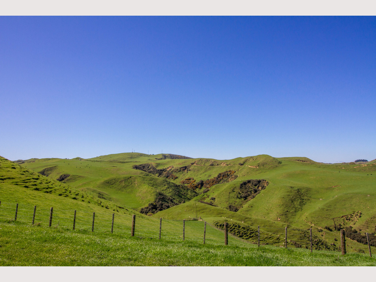 1456 Rangitatau East Road, Wanganui