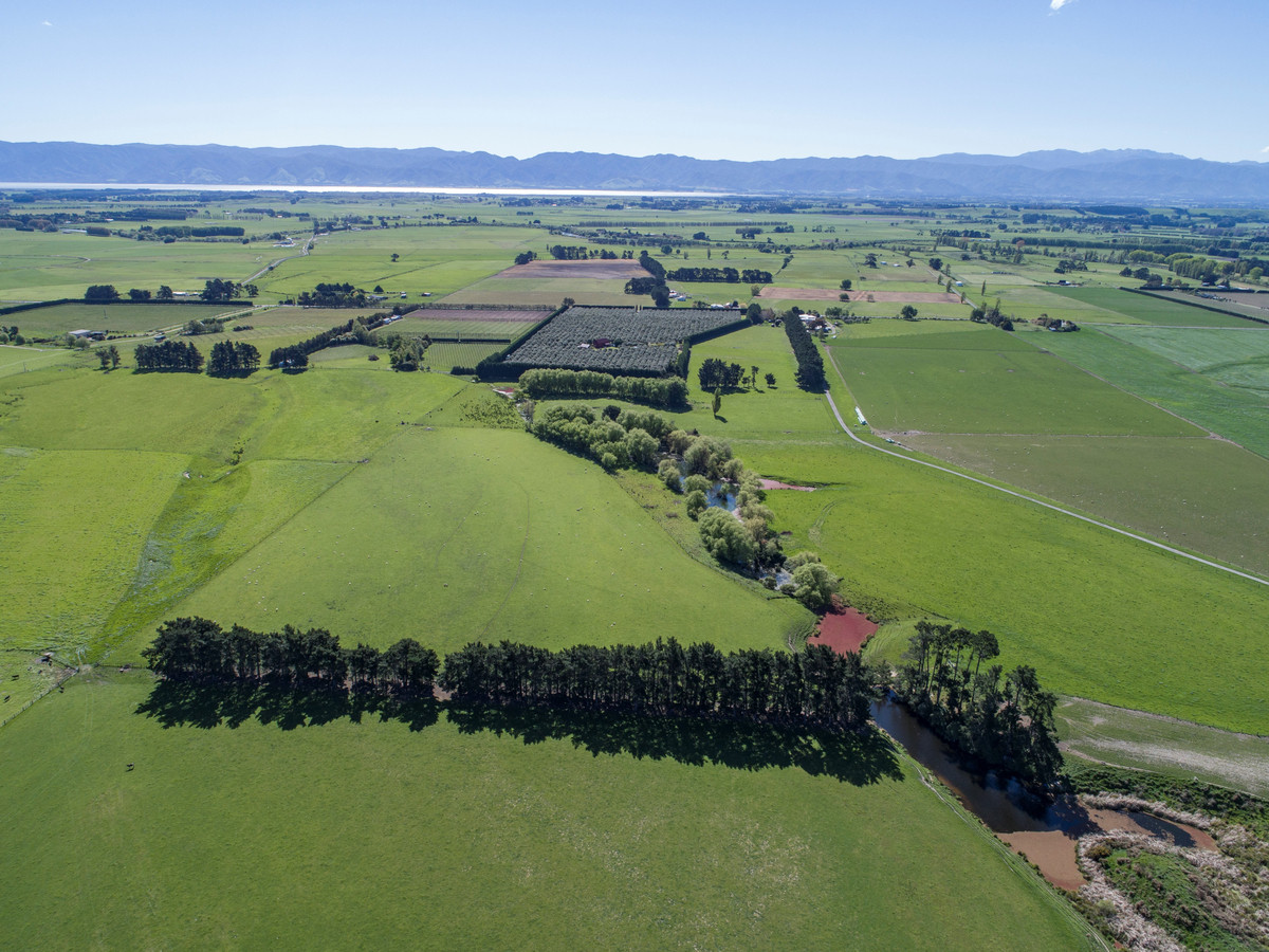 FARM 3. WAIATA- IRRIGATION AND PURCHASE OPTIONS - 121HA