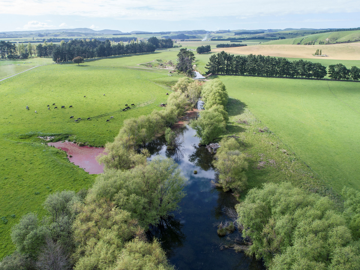 FARM 3. WAIATA- IRRIGATION AND PURCHASE OPTIONS - 121HA