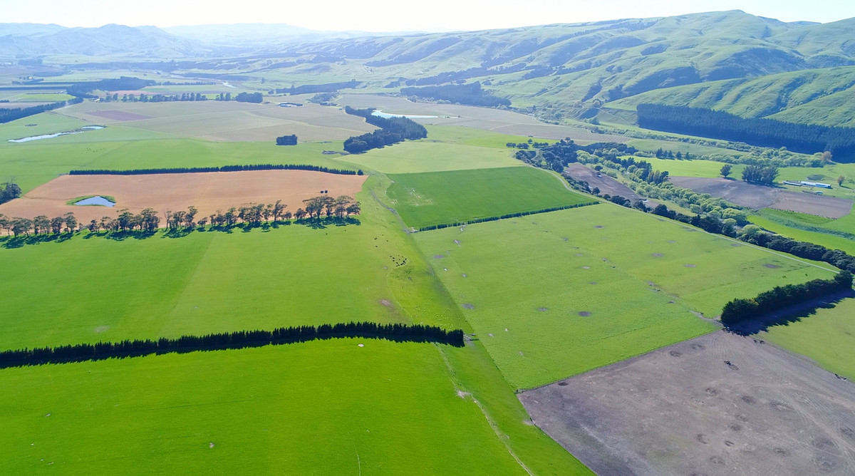 FARM 1. HAUTOTARA - 9 TITLES AND SALE OPTIONS - 298 HA