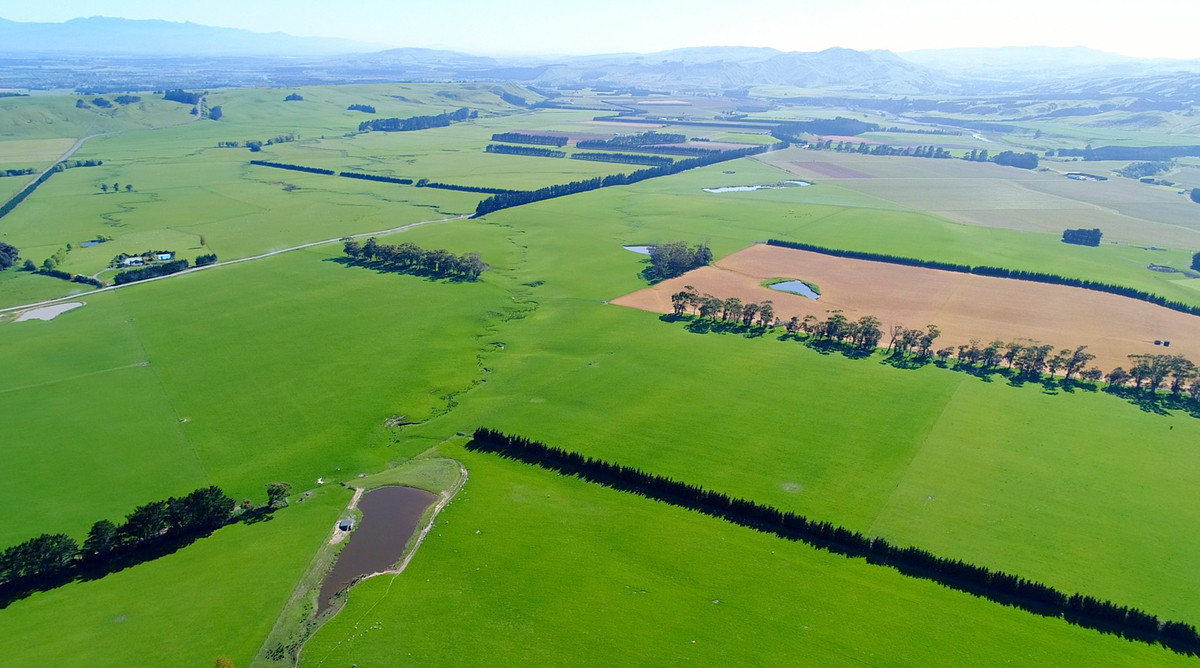 FARM 1. HAUTOTARA - 9 TITLES AND SALE OPTIONS - 298 HA