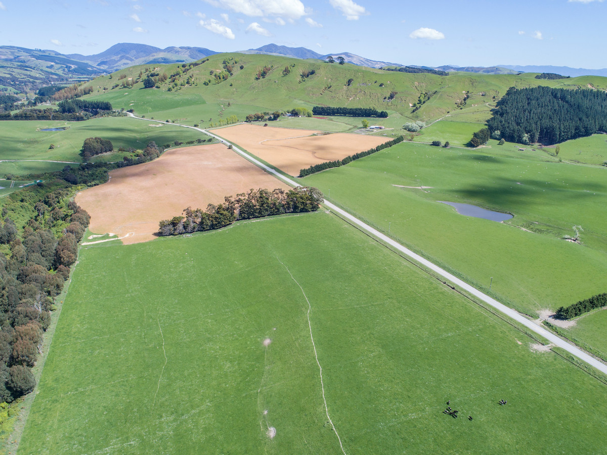 FARM 1. HAUTOTARA - 9 TITLES AND SALE OPTIONS - 298 HA