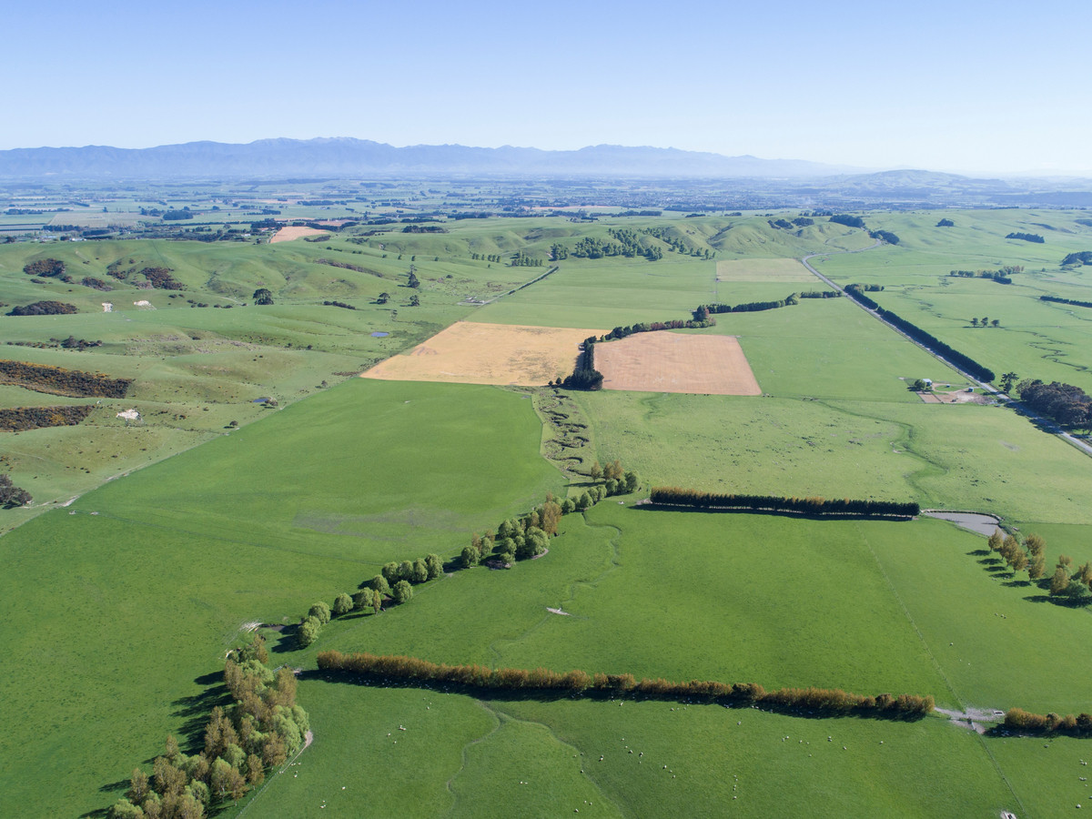 FARM 2. WANTWOOD - WELL SET UP AND MAINTAINED -176HA