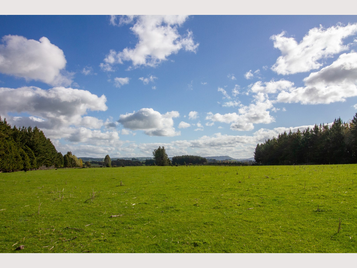 THE FINEST OHAKUNE SILT LOAM