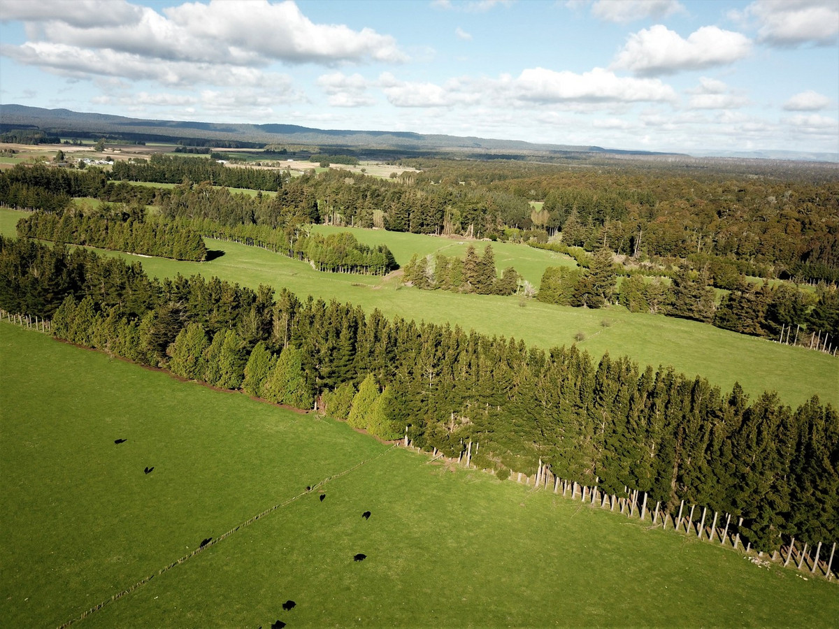 THE FINEST OHAKUNE SILT LOAM