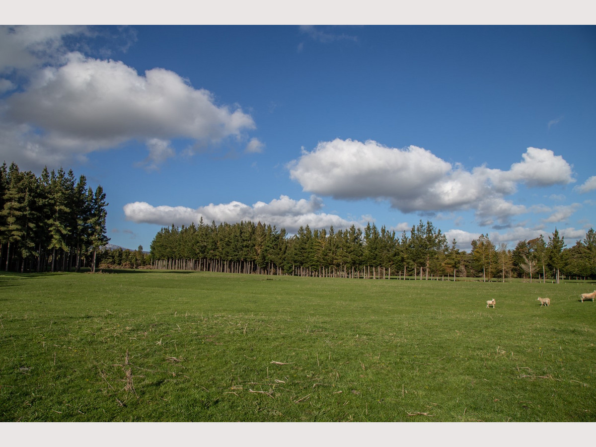 THE FINEST OHAKUNE SILT LOAM