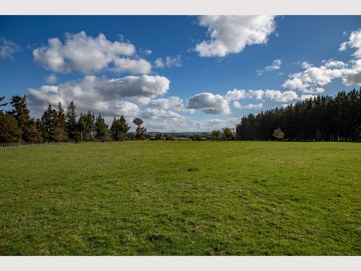 THE FINEST OHAKUNE SILT LOAM