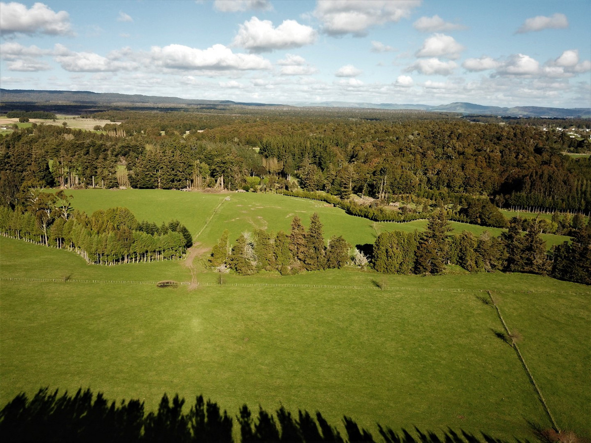 THE FINEST OHAKUNE SILT LOAM