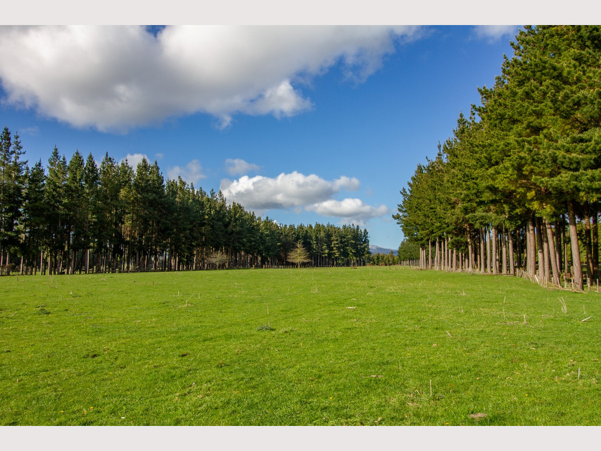 THE FINEST OHAKUNE SILT LOAM