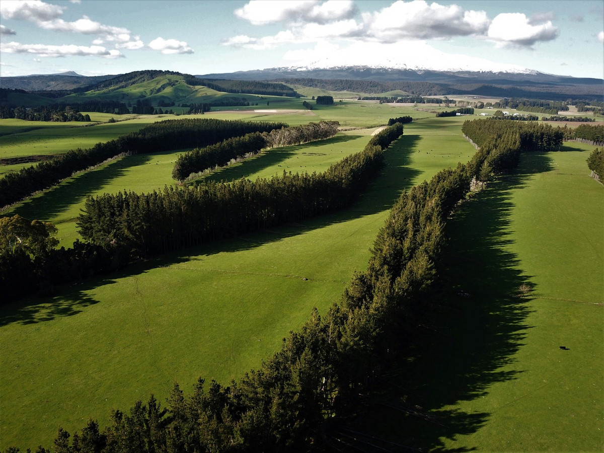 THE FINEST OHAKUNE SILT LOAM