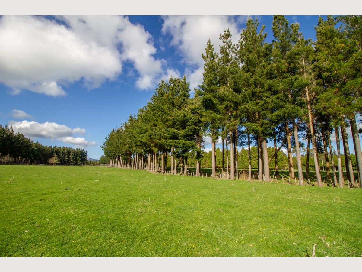 THE FINEST OHAKUNE SILT LOAM