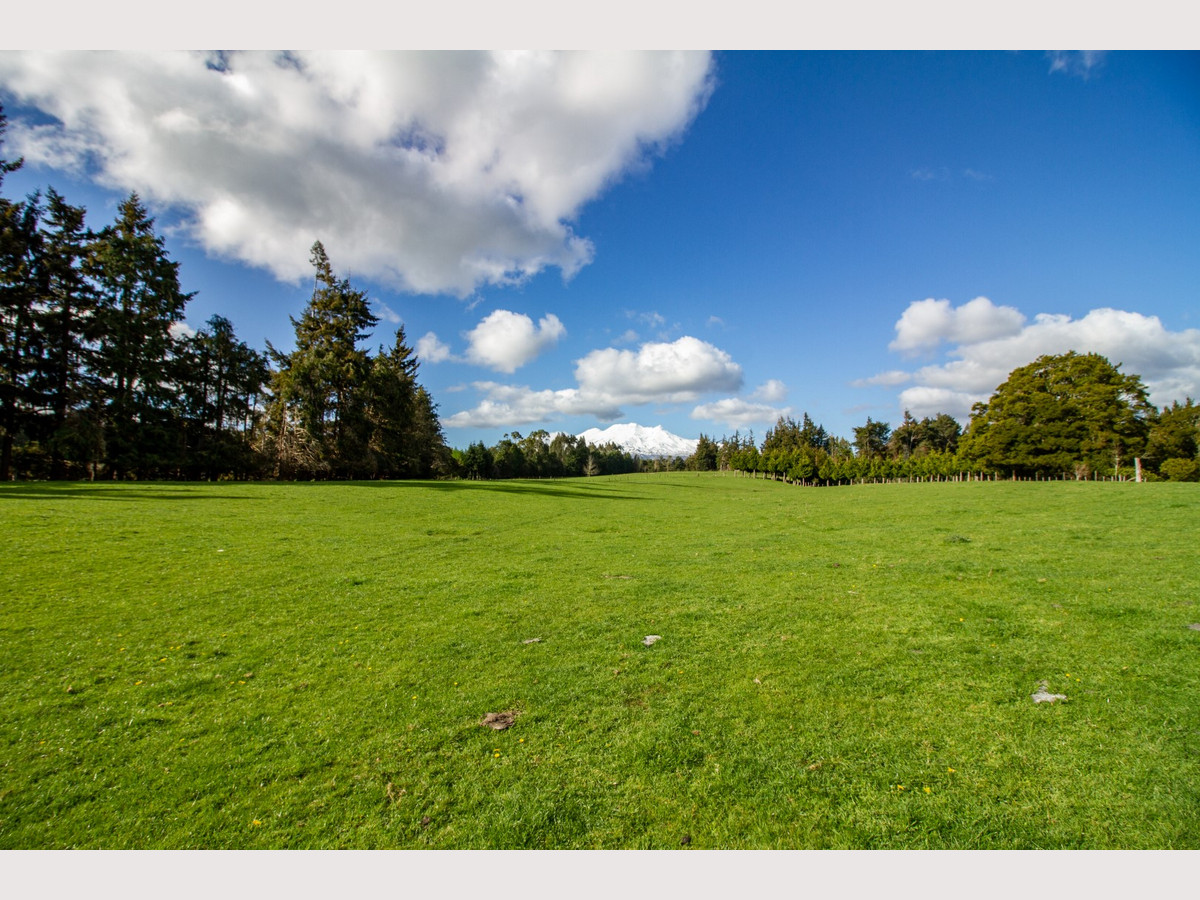 THE FINEST OHAKUNE SILT LOAM