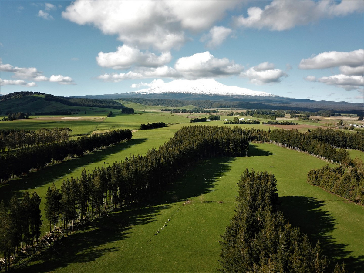 THE FINEST OHAKUNE SILT LOAM