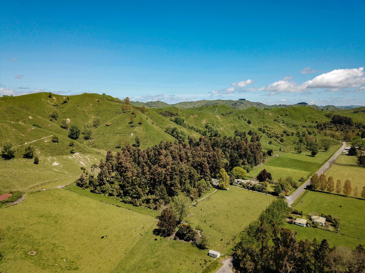 MT HUIA - Just 9 km from SHWY 1