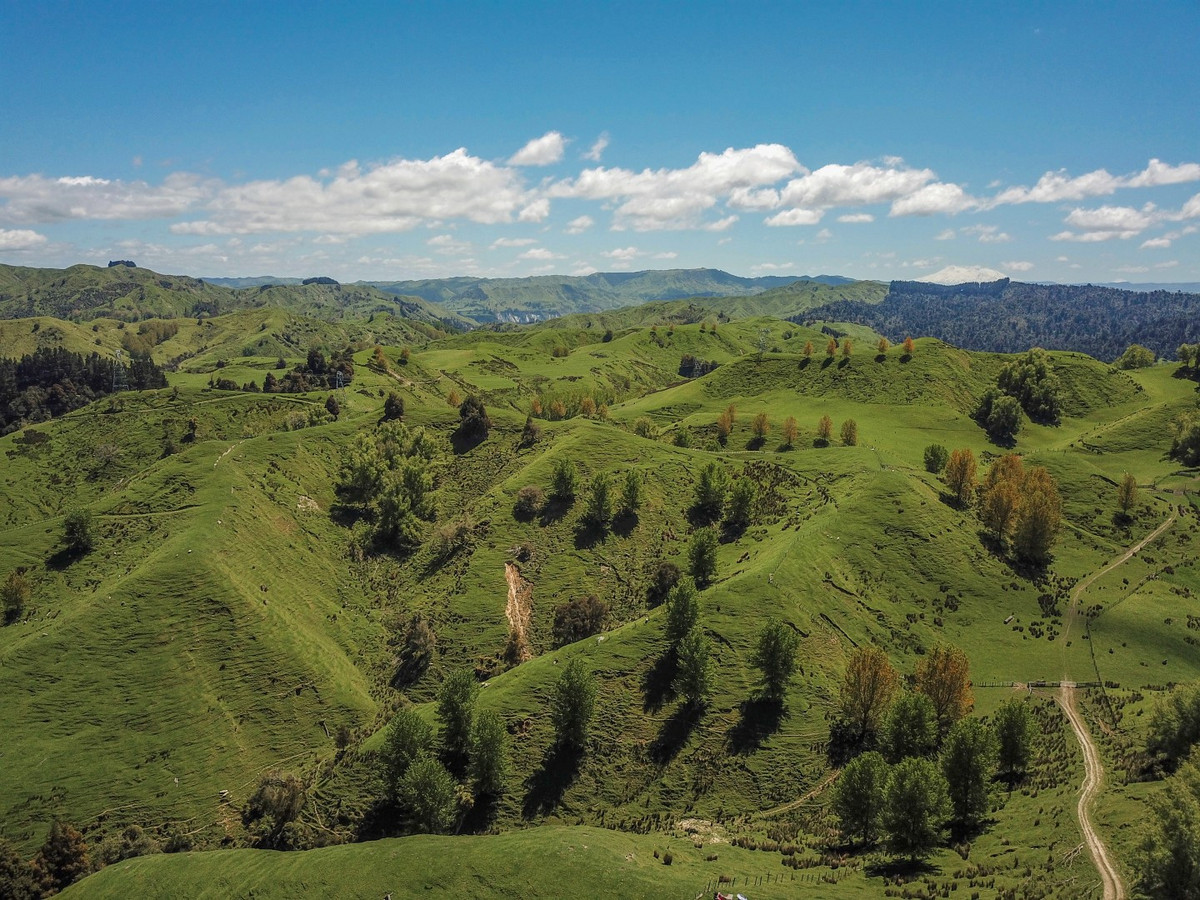 MT HUIA - Just 9 km from SHWY 1