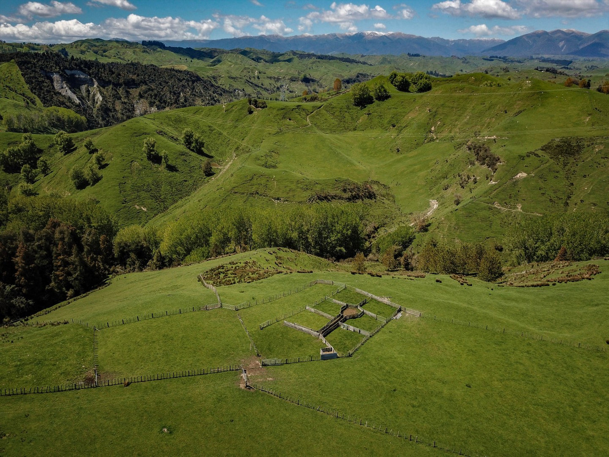 MT HUIA - Just 9 km from SHWY 1