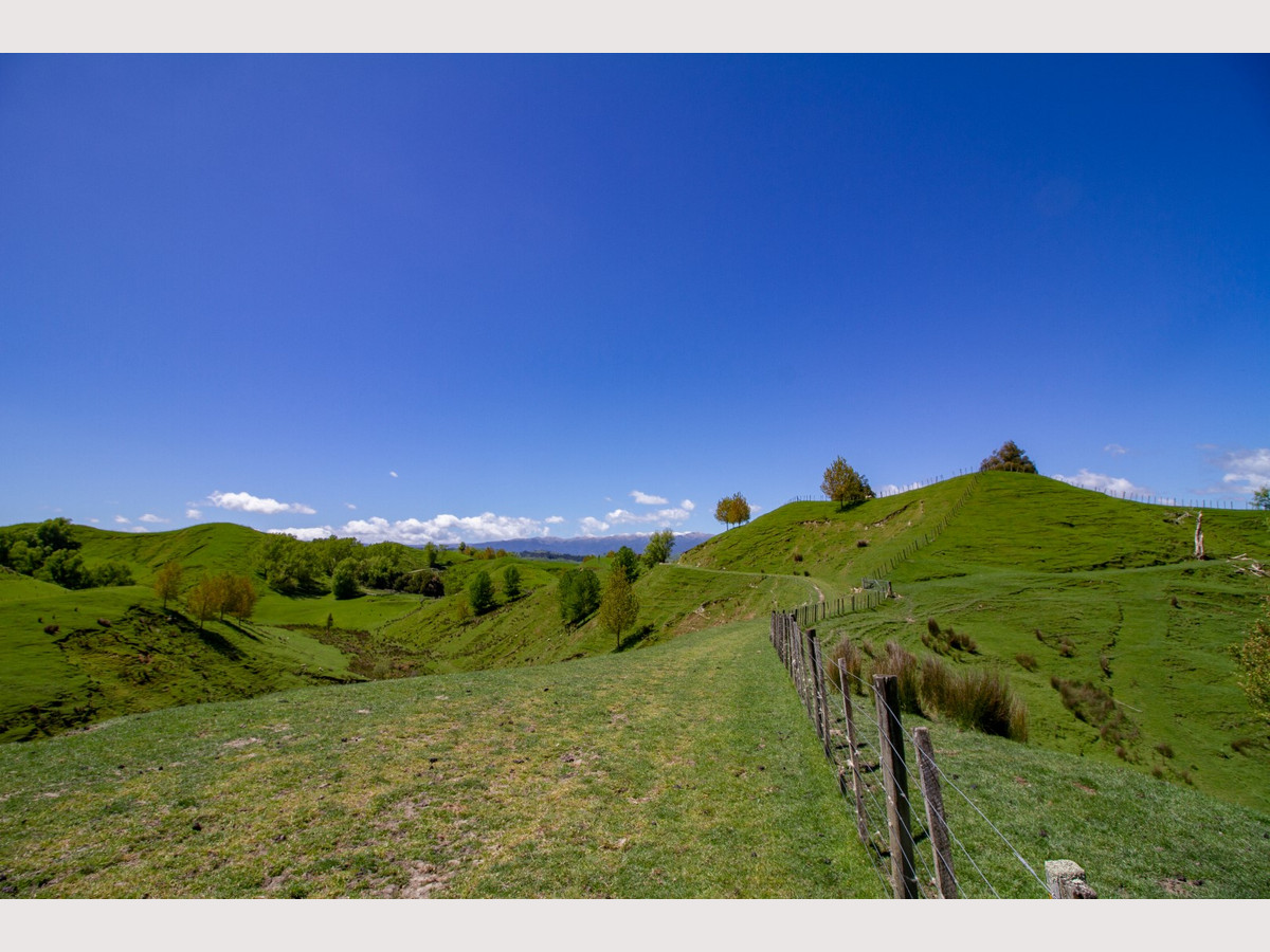 MT HUIA - Just 9 km from SHWY 1