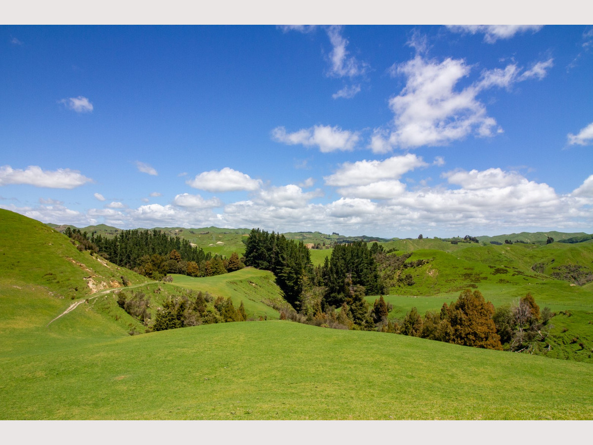 MT HUIA - Just 9 km from SHWY 1