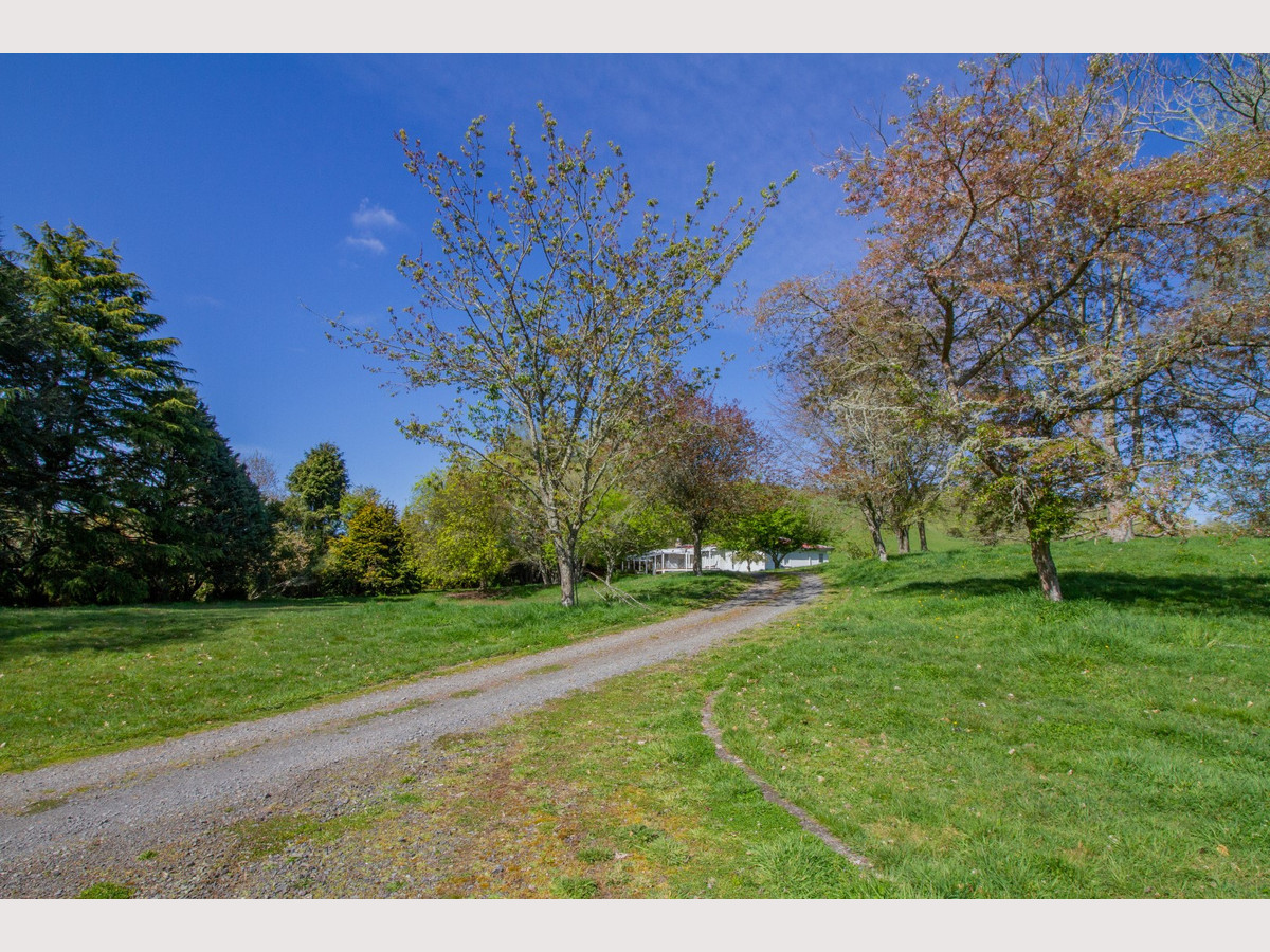 Owhango Dairy - The Land of Milk and Honey