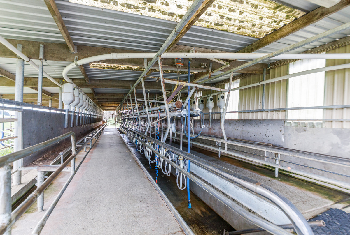 SIMPLE DAIRYING SYSTEM WITH 3+ PURCHASE OPTIONS
