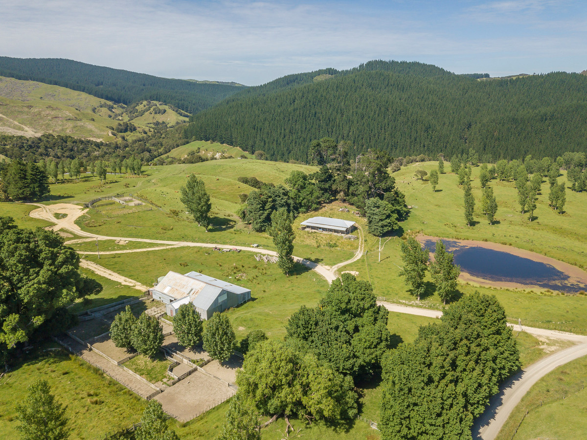 BARE LAND WITH WOOLSHED AND FACILITIES-76HA