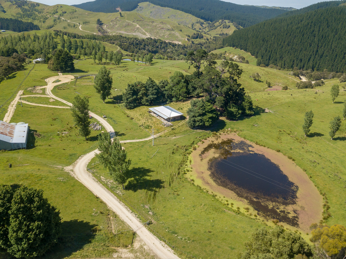 BARE LAND WITH WOOLSHED AND FACILITIES-76HA