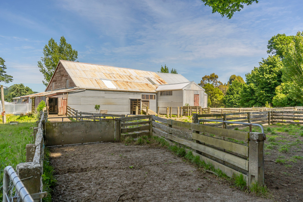 BARE LAND WITH WOOLSHED AND FACILITIES-76HA