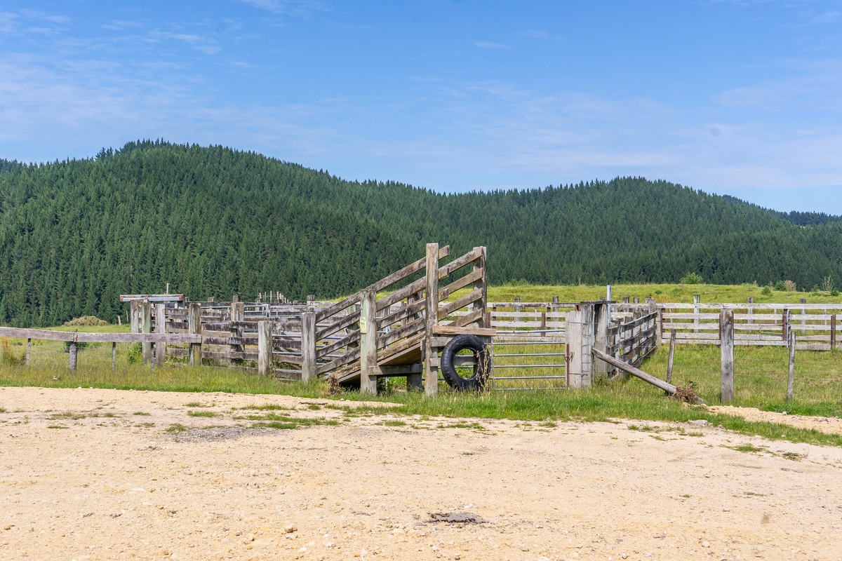 BARE LAND WITH WOOLSHED AND FACILITIES-76HA