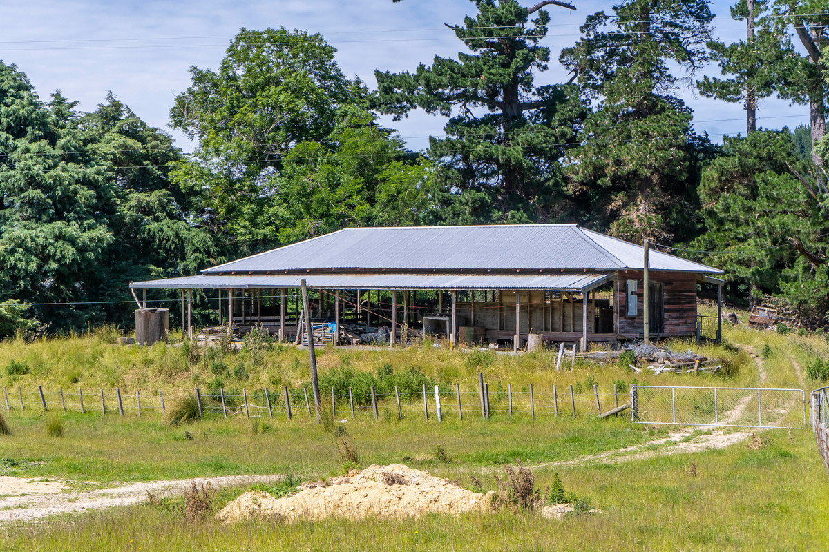 BARE LAND WITH WOOLSHED AND FACILITIES-76HA