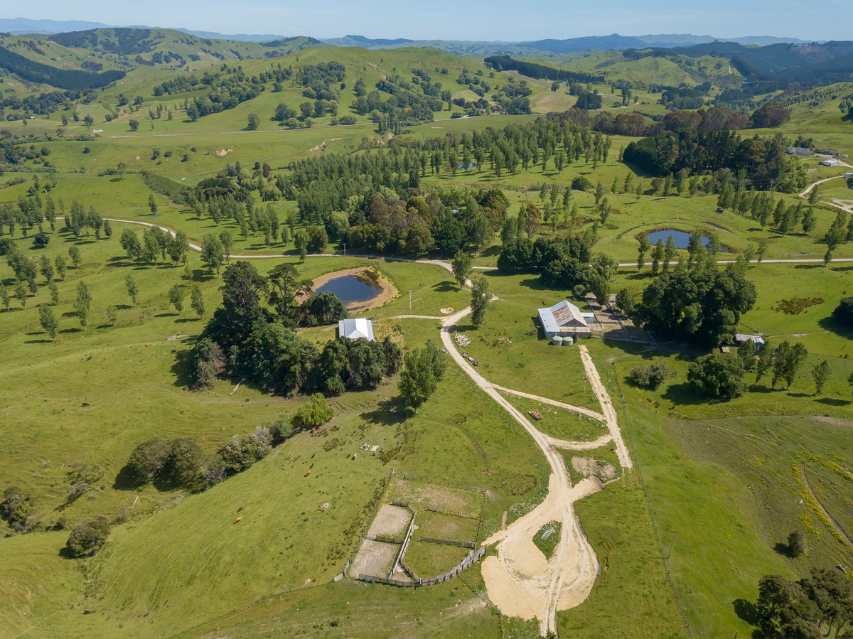 BARE LAND WITH WOOLSHED AND FACILITIES-76HA