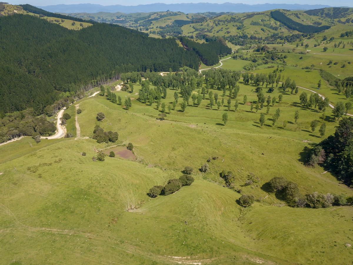 BARE LAND WITH WOOLSHED AND FACILITIES-76HA