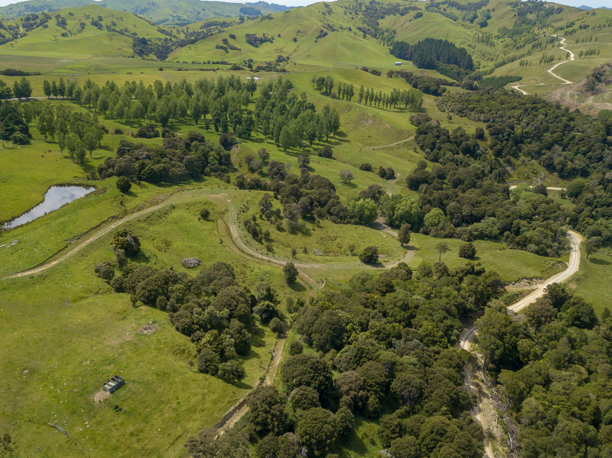 BARE LAND WITH WOOLSHED AND FACILITIES-76HA