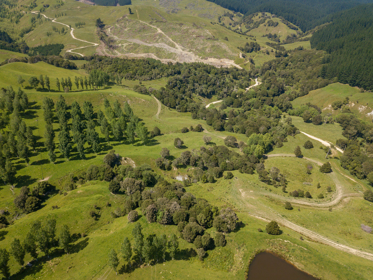 BARE LAND WITH WOOLSHED AND FACILITIES-76HA