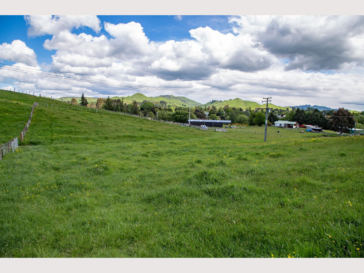 OPTIONS GALORE - Just 10 kms from Ohakune