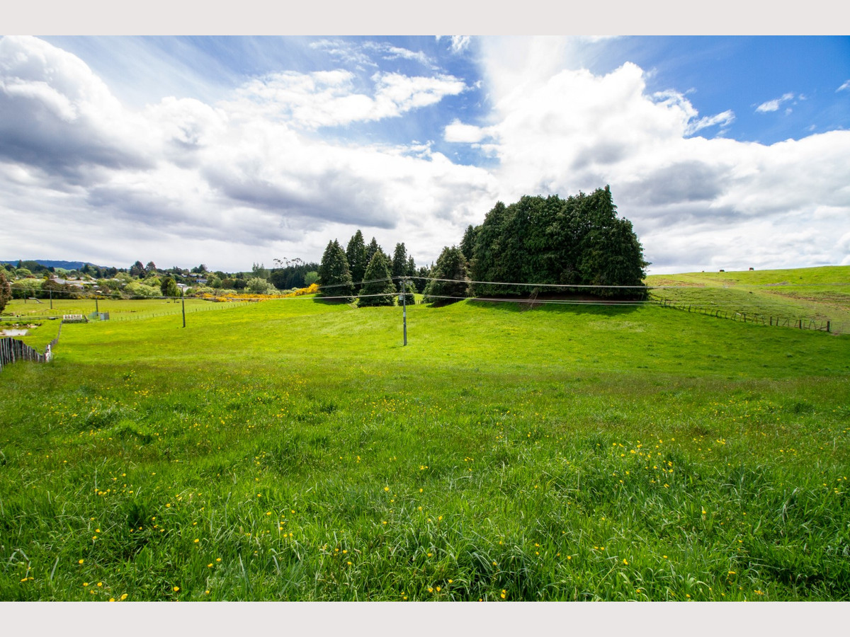 OPTIONS GALORE - Just 10 kms from Ohakune