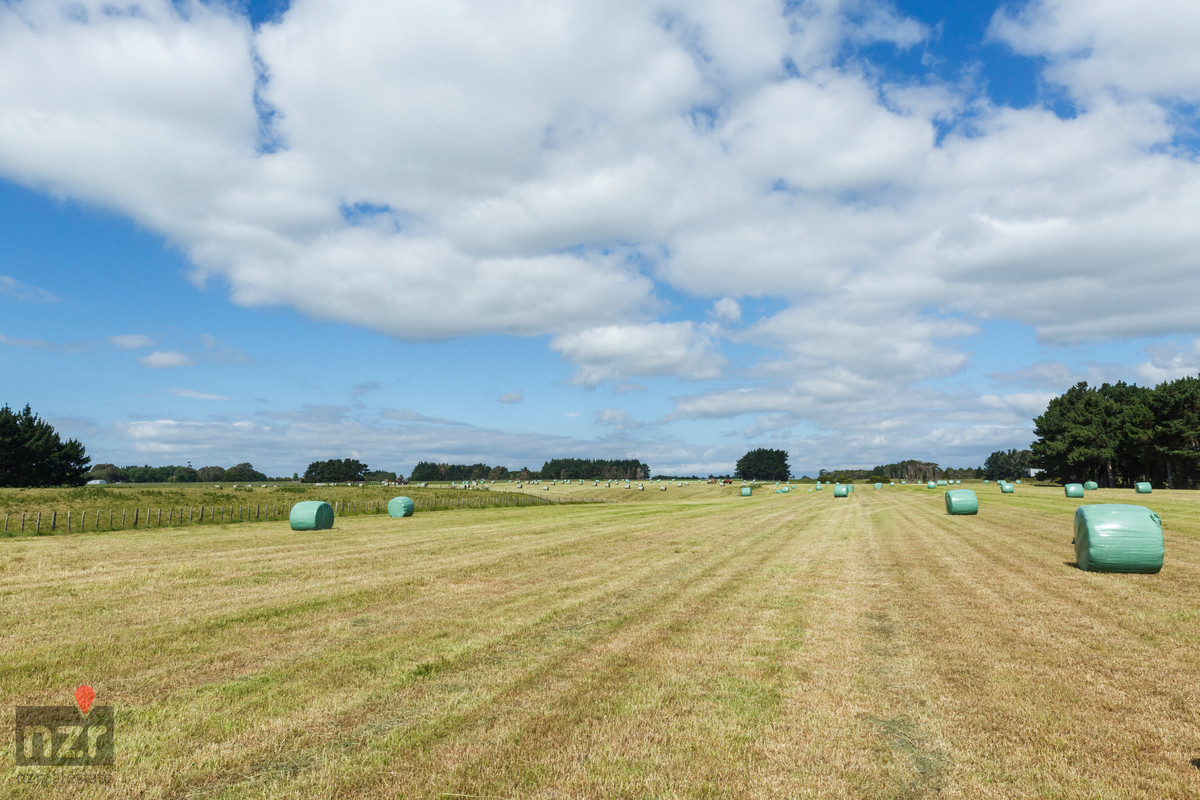 PRIME FINISHING COUNTRY CLOSE TO FEILDING