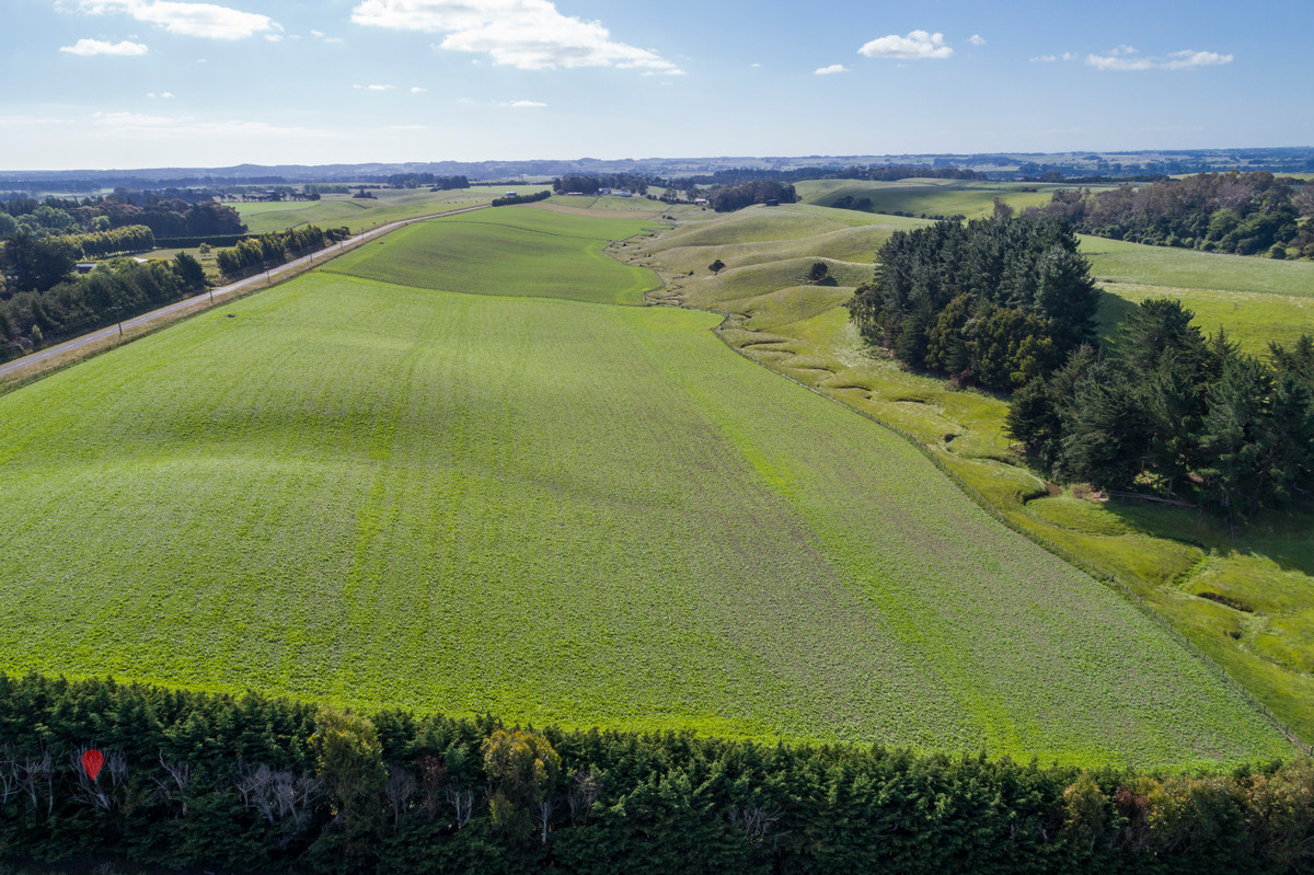 PRIME FINISHING COUNTRY CLOSE TO FEILDING