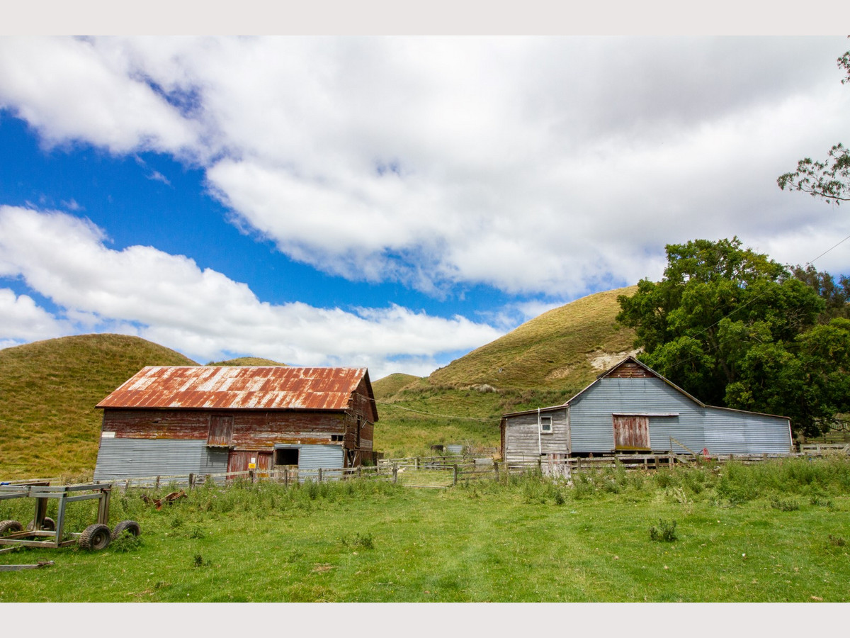 FIRST FARM OPPORTUNITY